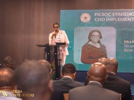 Bank of Ghana deputy governor urges financial institutions to strengthen cyber resilience