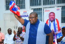‘Let’s work together to deliver power’ – Nana B urges new NPP leadership